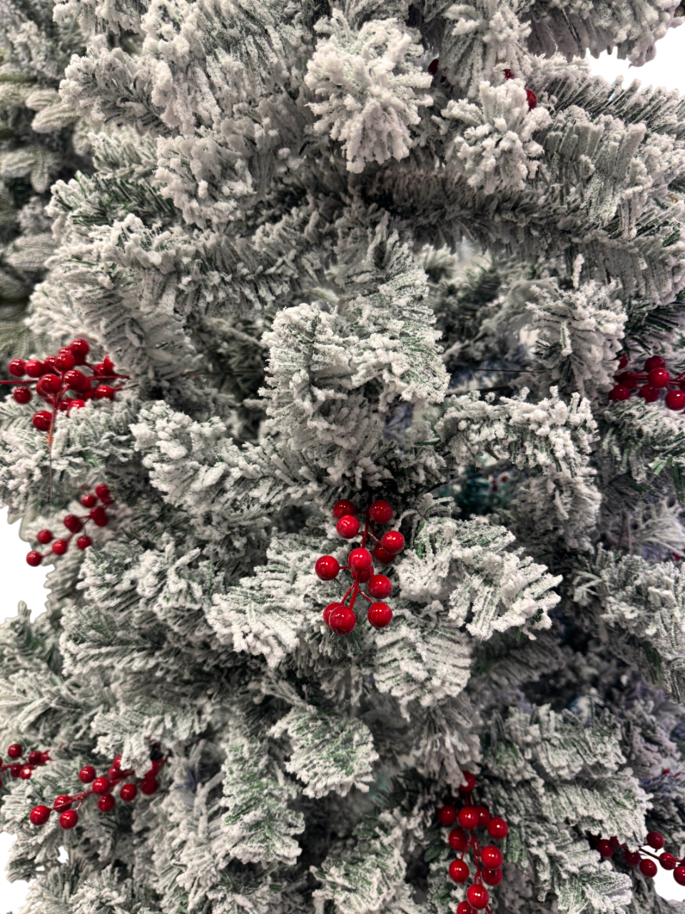 Novogodišnja jelka Winter Berry