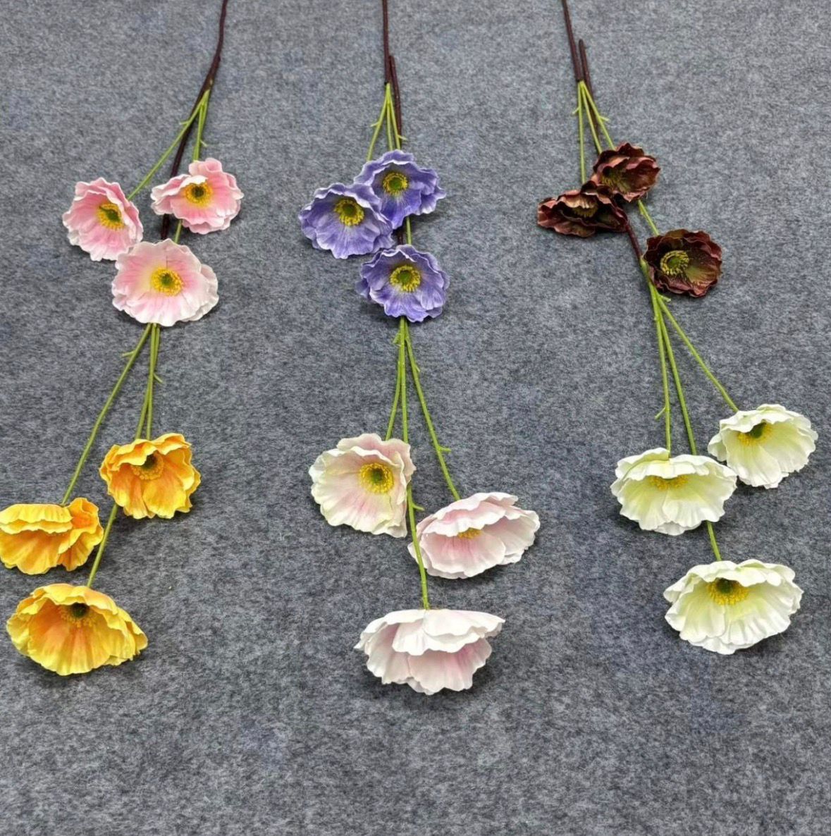 Dekorativni cvet Dianthus (Chinese Pink) - višecvetna stabljika