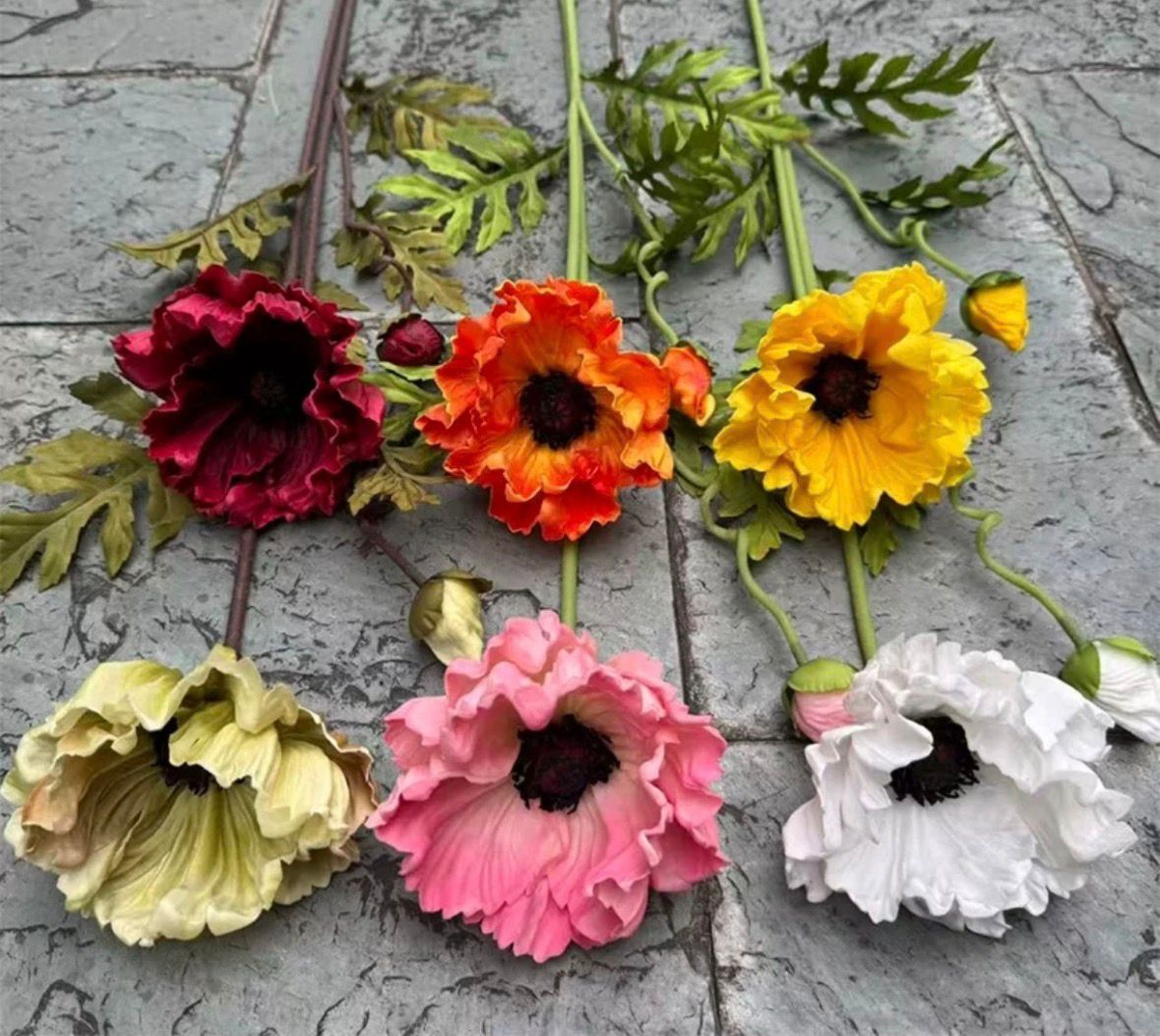 Dekorativni mak - veliki cvet na dugoj stabljici (više boja)