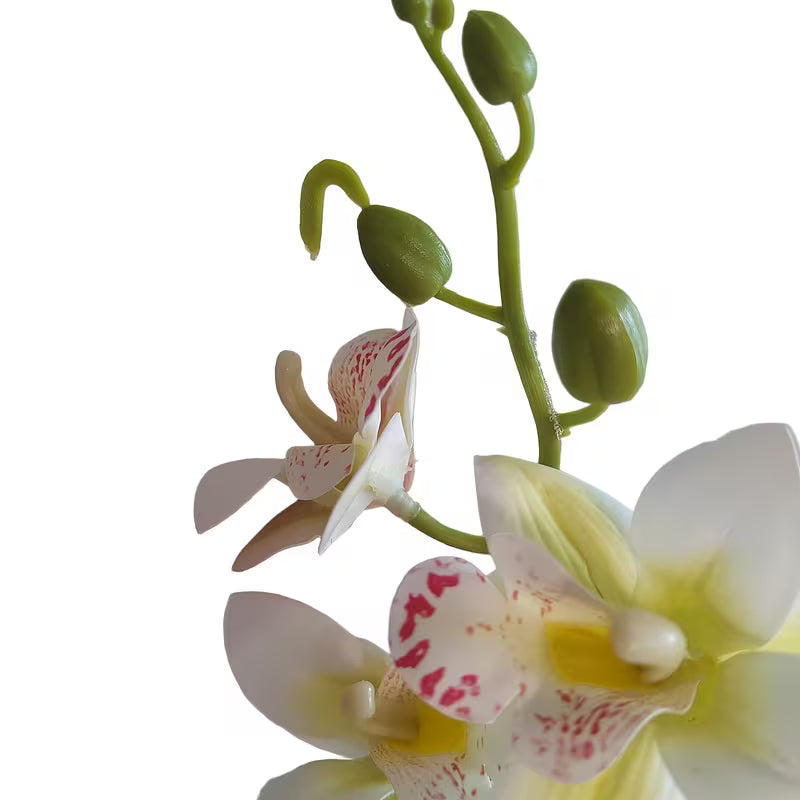 Veštačka orhideja Phalaenopsis u saksiji