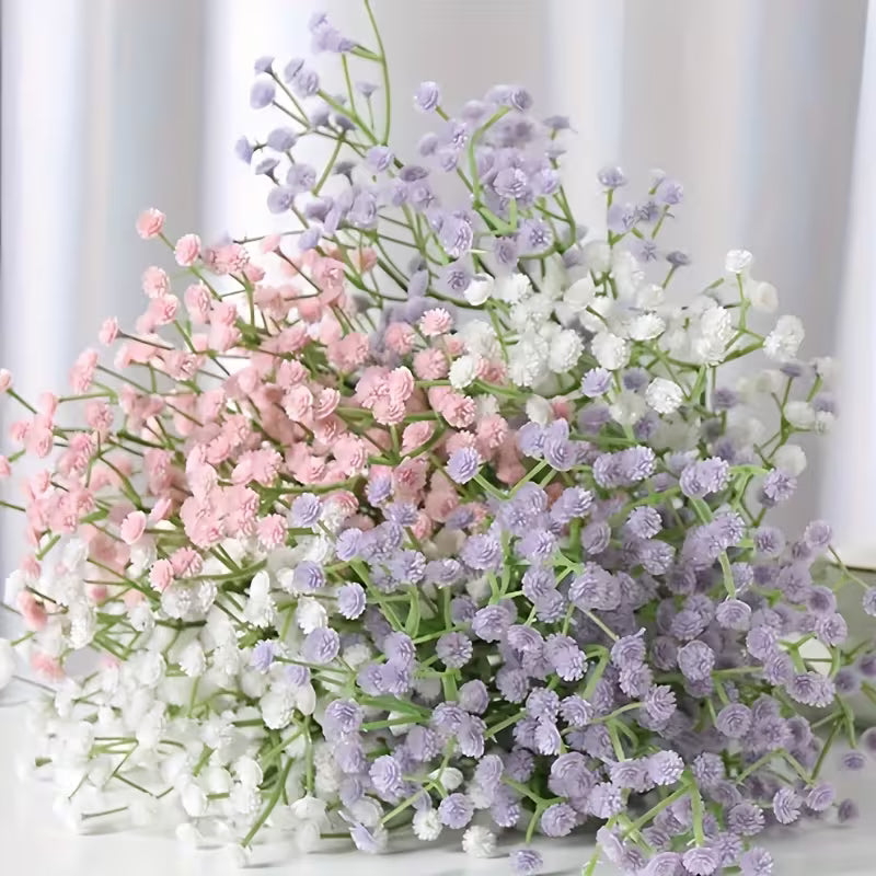 Dekorativna gipsofila (mladenački dah)