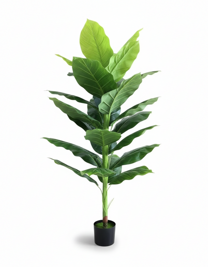 Veštačka biljka Chinese Evergreen - 1,5 m