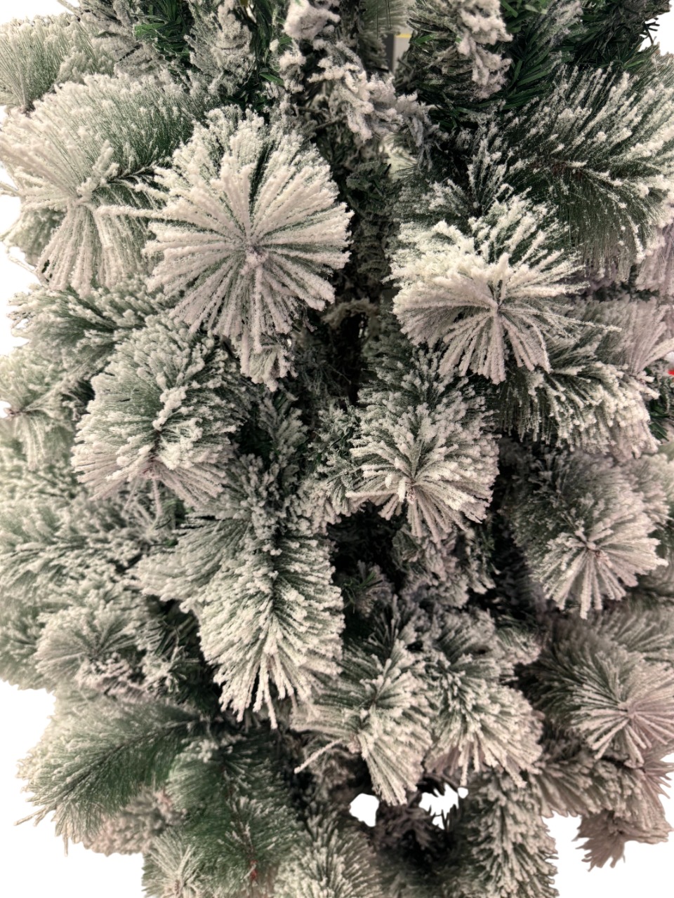 Novogodišnja jelka Winter Majesty