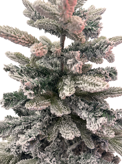 Novogodišnja jelka Alpine Charm