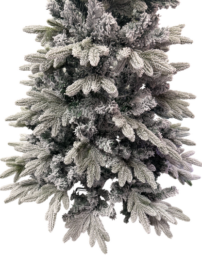 Novogodišnja jelka Alpine Charm