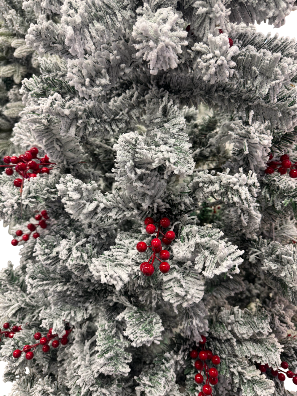 Novogodišnja jelka Winter Berry