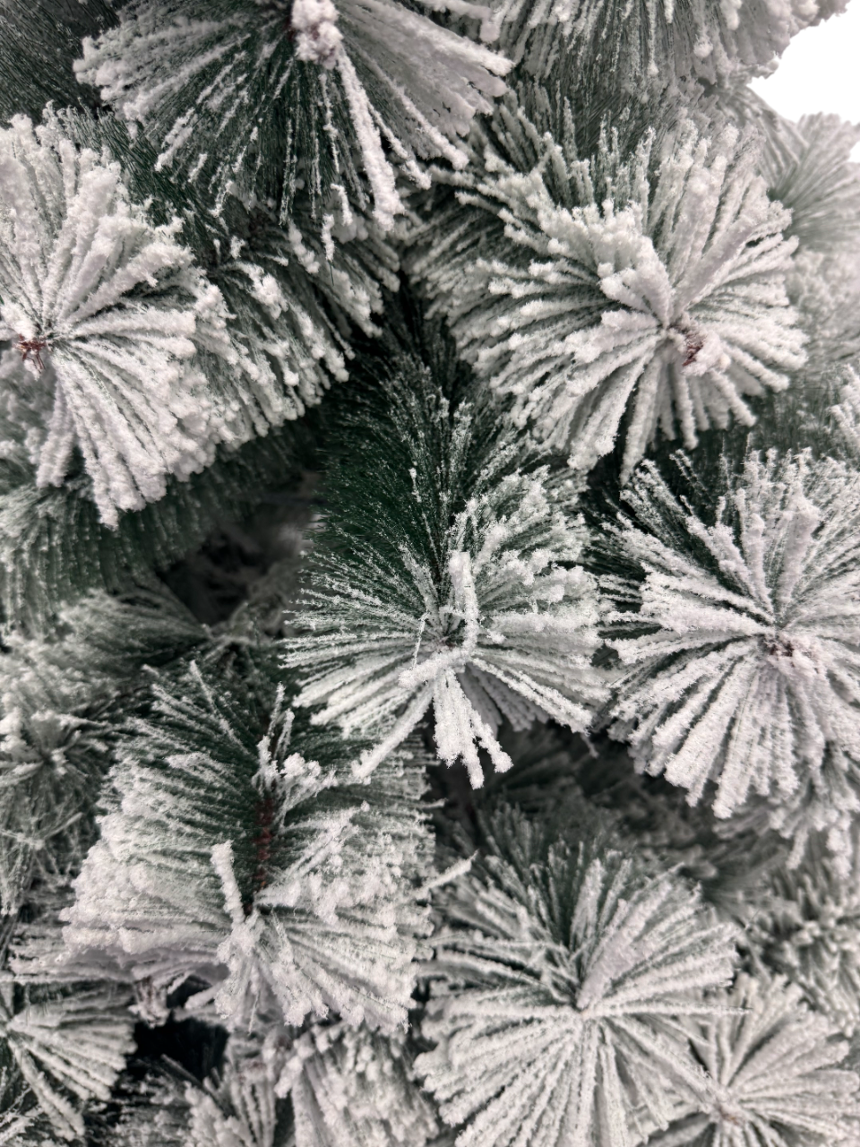 Novogodišnja jelka Rushmore fir flocked