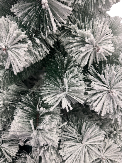 Novogodišnja jelka Rushmore fir flocked