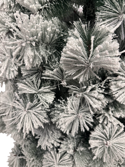 Novogodišnja jelka Rushmore fir flocked