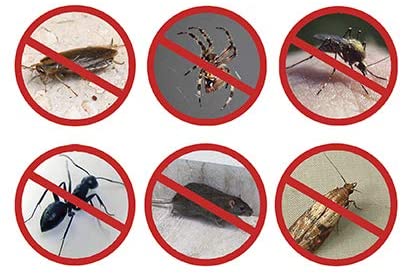 Rasterivač štetočina Pest Reject PRO - zaštita doma bez hemikalija