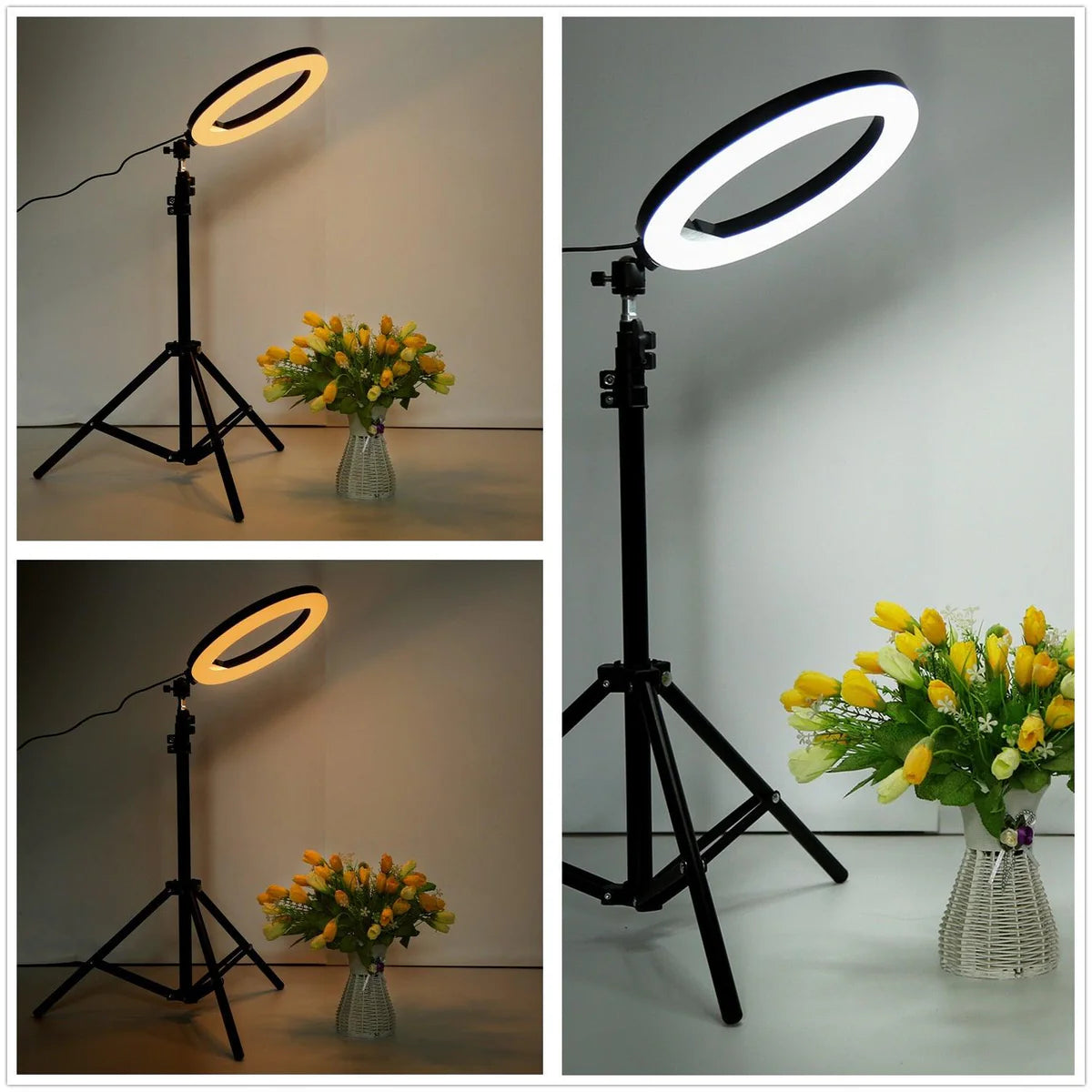 Ring Light sa podesivim stalkom - svetlo za slikanje i video