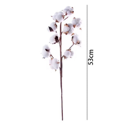 Dekorativni buket pamuka - 10 grančica