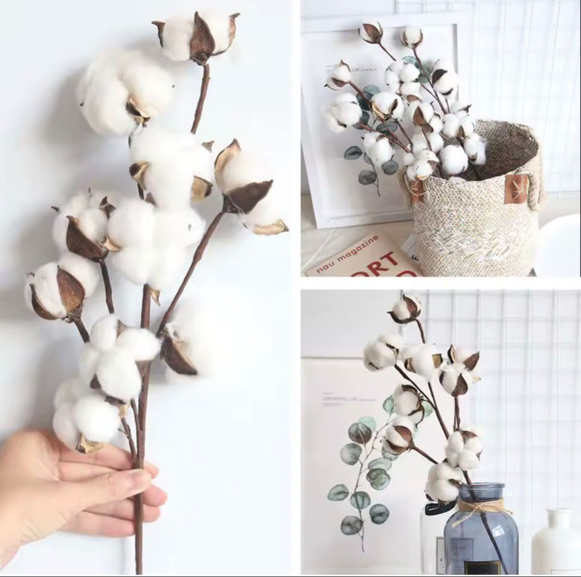 Dekorativni buket pamuka - 10 grančica