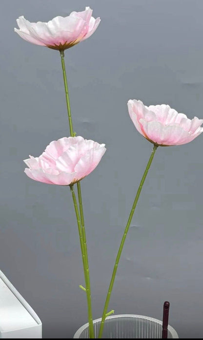 Dekorativni cvet Dianthus (Chinese Pink) - višecvetna stabljika