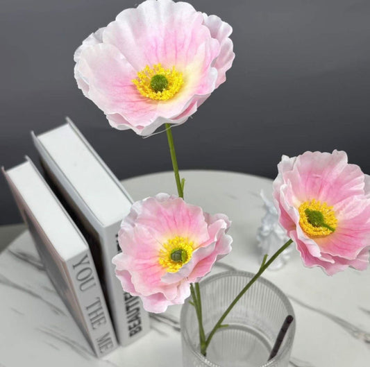 Dekorativni cvet Dianthus (Chinese Pink) - višecvetna stabljika