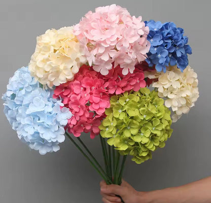 Dekorativna hortenzija - svilenkasti cvet (Macaron boje)