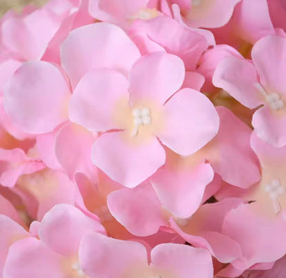 Dekorativna hortenzija - svilenkasti cvet (Macaron boje)