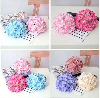 Dekorativna hortenzija - svilenkasti cvet (Macaron boje)