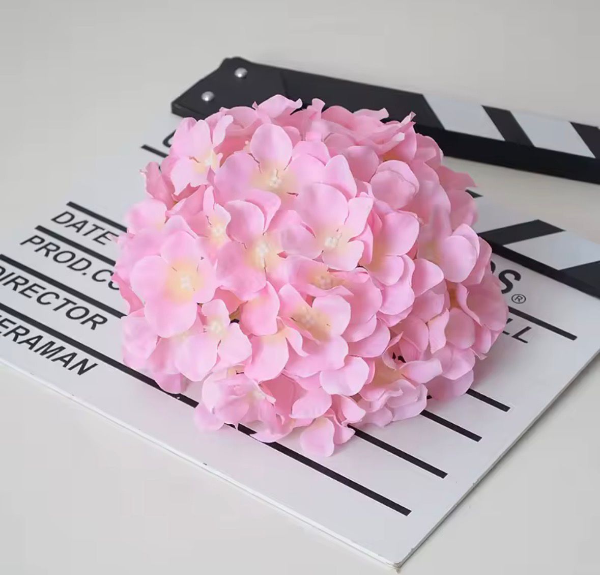 Dekorativna hortenzija - svilenkasti cvet (Macaron boje)