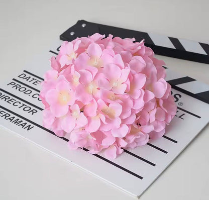 Dekorativna hortenzija - svilenkasti cvet (Macaron boje)