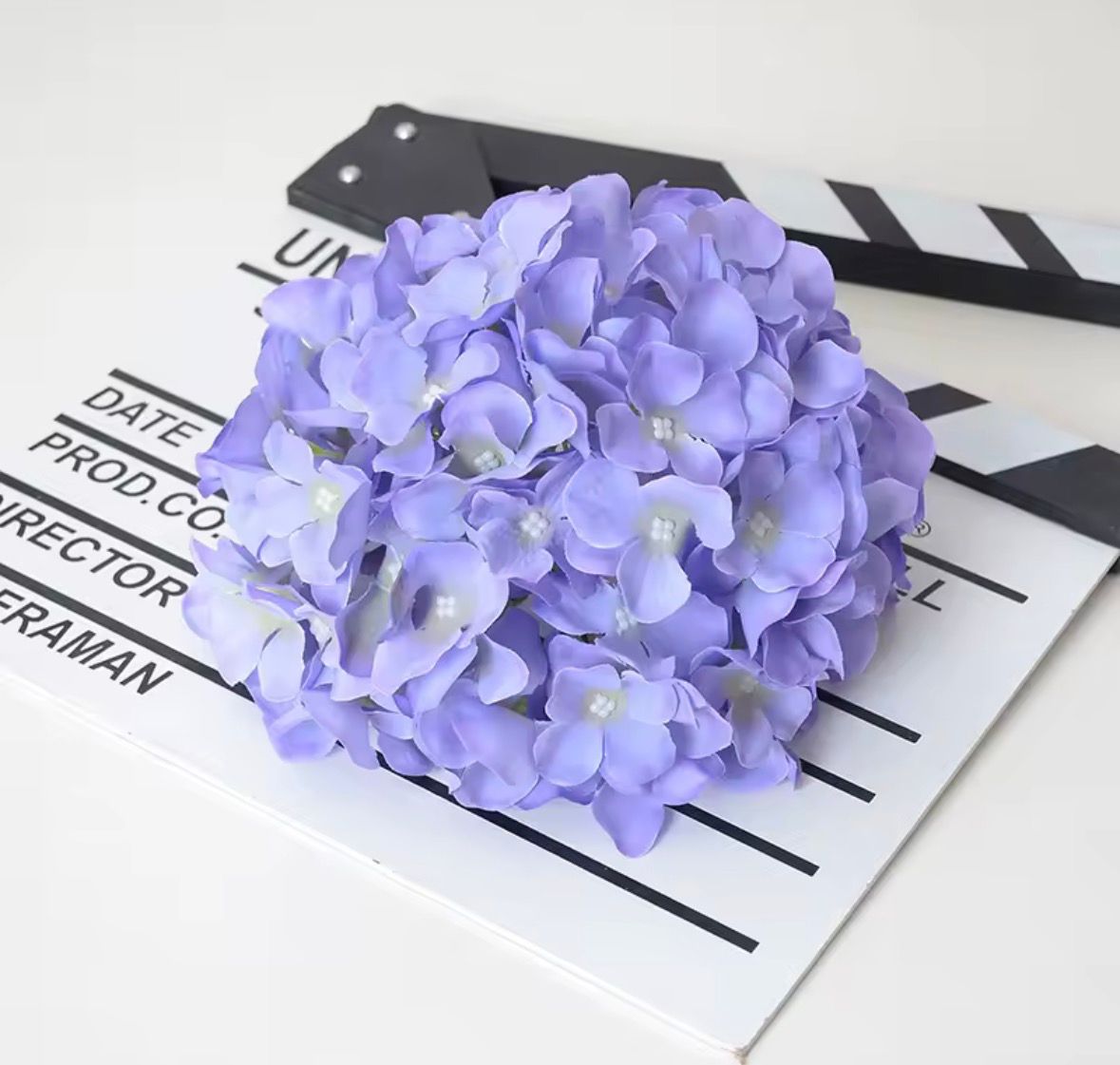 Dekorativna hortenzija - svilenkasti cvet (Macaron boje)