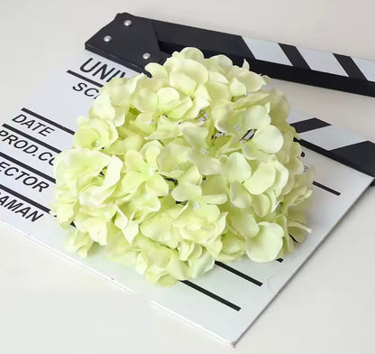 Dekorativna hortenzija - svilenkasti cvet (Macaron boje)