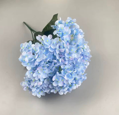 Dekorativna hortenzija - stabljika sa 5 cvetova