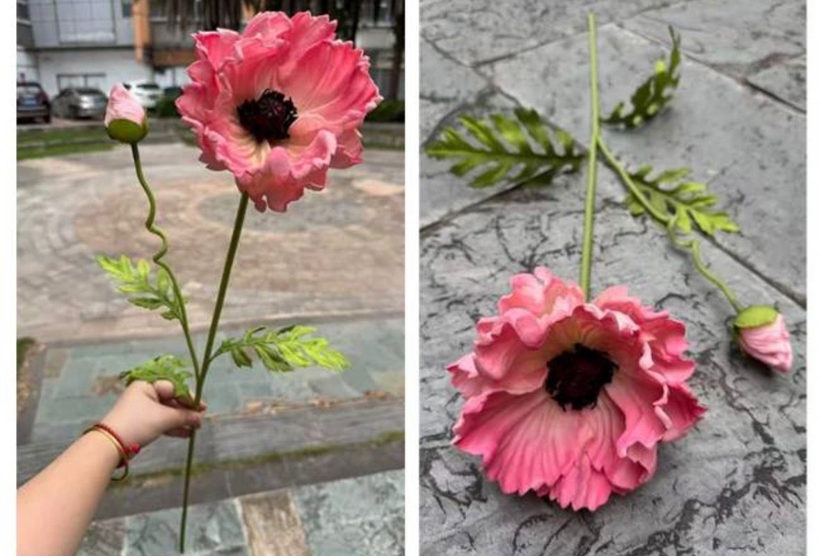 Dekorativni mak - veliki cvet na dugoj stabljici (više boja)