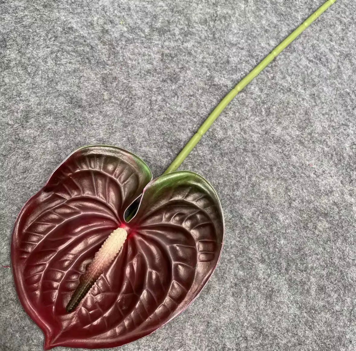 Dekorativni anthurium (Flamingo Flower)