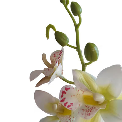 Veštačka orhideja Phalaenopsis u saksiji