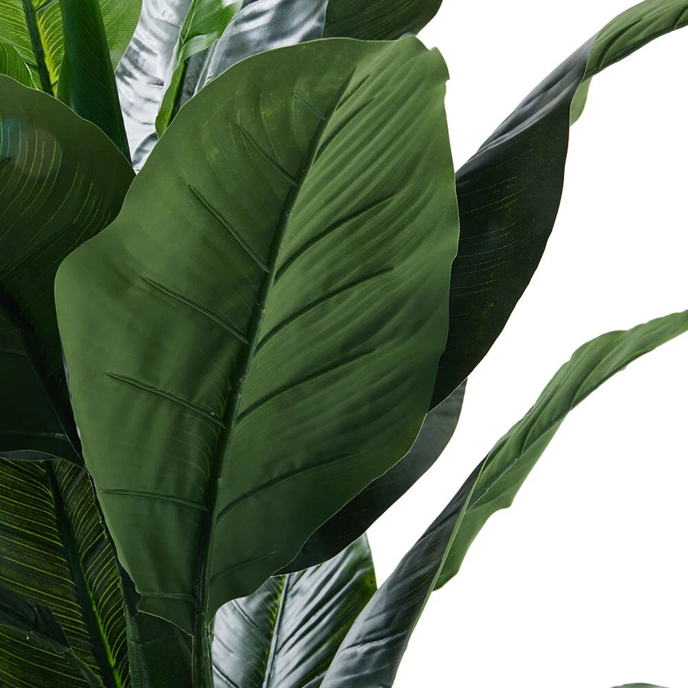 Veštačka biljka Chinese Evergreen - 1,5 m