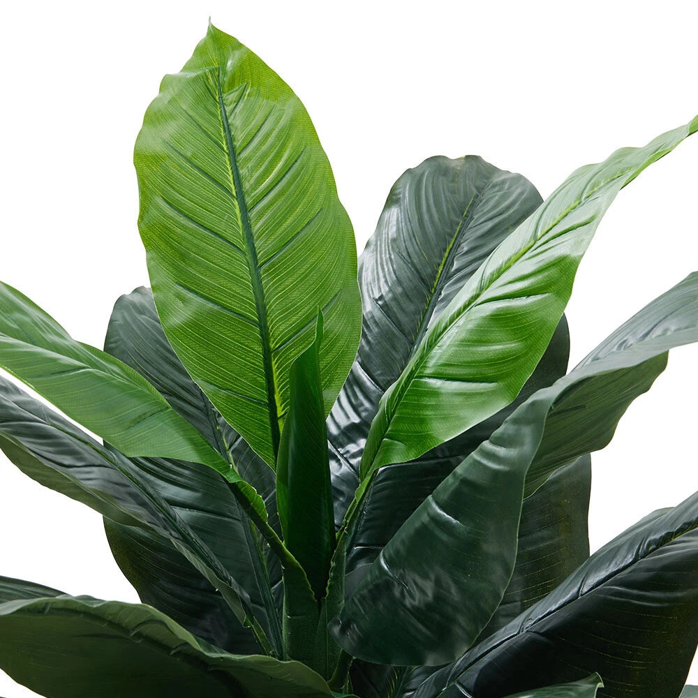 Veštačka biljka Chinese Evergreen - 1,5 m