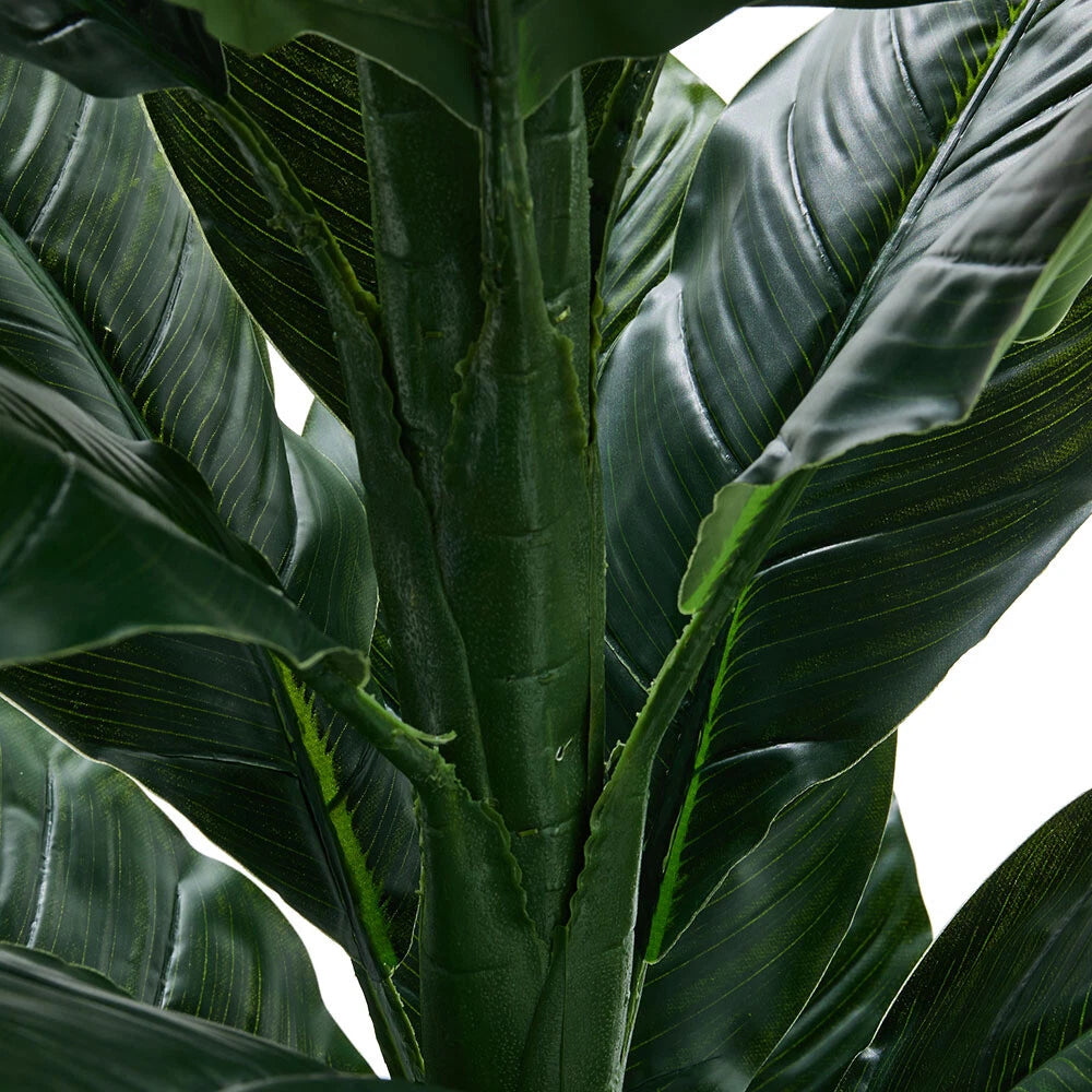 Veštačka biljka Chinese Evergreen - 1,5 m