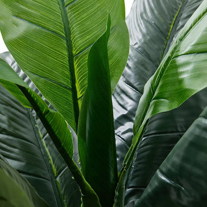 Veštačka biljka Chinese Evergreen - 1,5 m